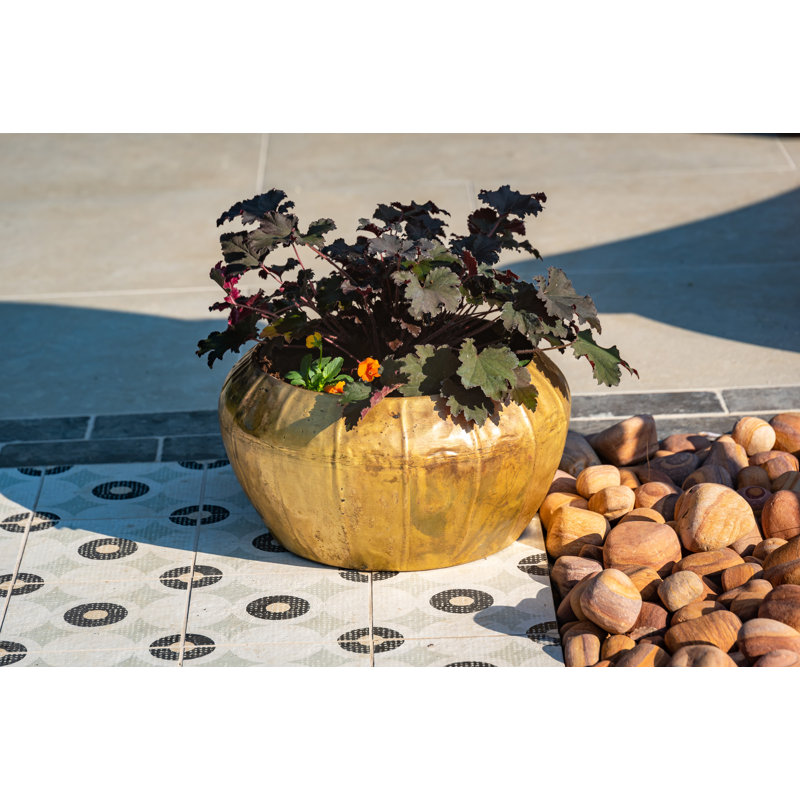 Meansville Metal Pot Planter, 22cm H x 40.5cm W x 40.5cm D