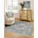 Gause Oriental Indoor Rug