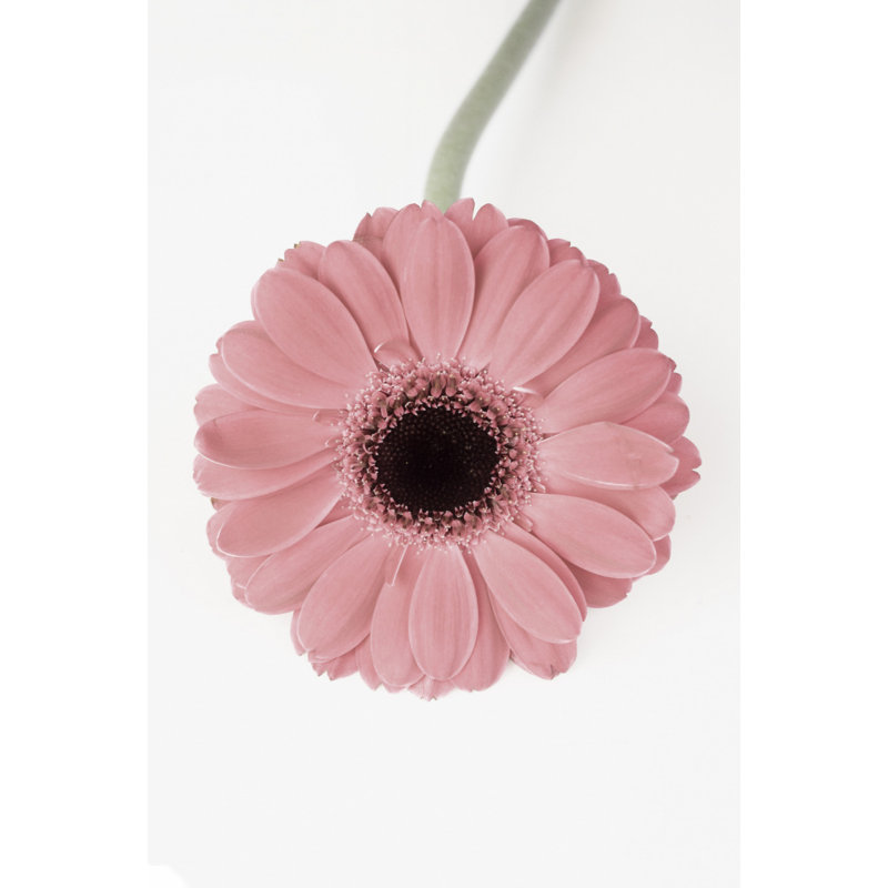 Wrapped Canvas Print, 121.92 cm H x 81.28 cm W