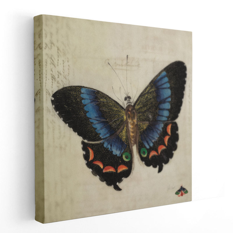 «Vintage Blue Butterfly», reproduction d'art sur toile, H 12 po x l 12 po