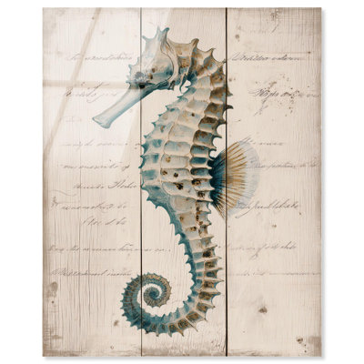 Décoration côtière Seahorse Scroll I par Art Remedy, prête à être suspendue, 36 x 45
