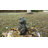 Thinking Frog Garden Statue