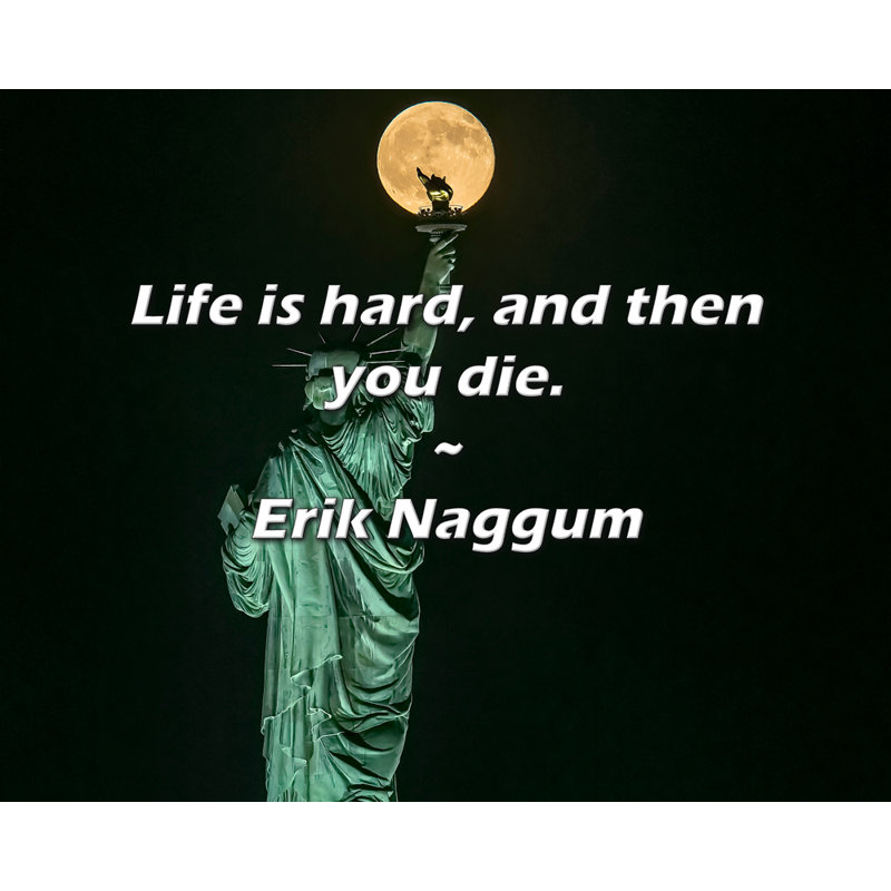 Citation d'Erik Naggum: La vie est dure, puis vous mourrez.