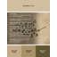 Tapis moelleux et moelleux à motif abstrait moderne et contemporain St Patties beige - reliure beige-817659958