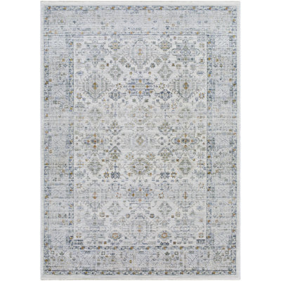 Boltri Traditional Machine Woven Area Rug EDO2308