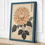 Chrysanthemum Study Japandi - Wrapped Canvas-1649422363-1649422437