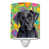 Labrador noir sélectionné