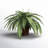23'' Faux Fern Plant in Wicker/Rattan Pot