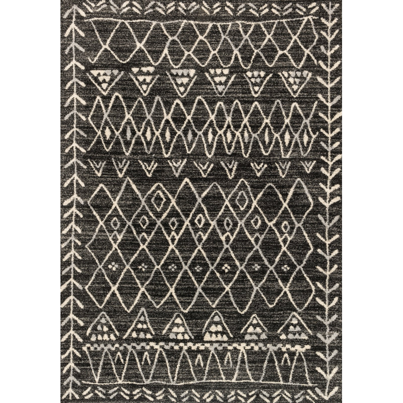 Aparicio Southwestern Indoor Rug, Rectangle 8'11" x 12'5"