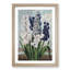 Hyacinths by R.J. Thornton - Picture Frame Painting Print-55578543-55578542