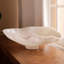 Resin Fruit Bowl