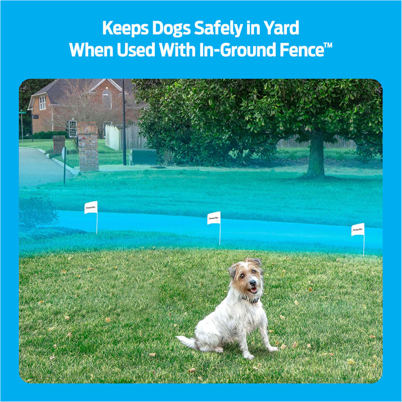  Premier Pet In-Ground Add-A-Dog Collar
