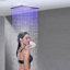 Cerro Rain Adjustable Shower Head-676431323