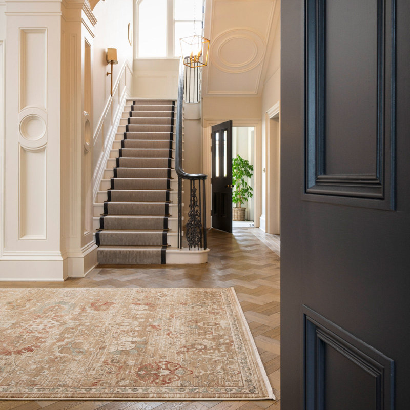Tarcisia Paisley Hand Tufted Area Rug, 240cm x 330cm