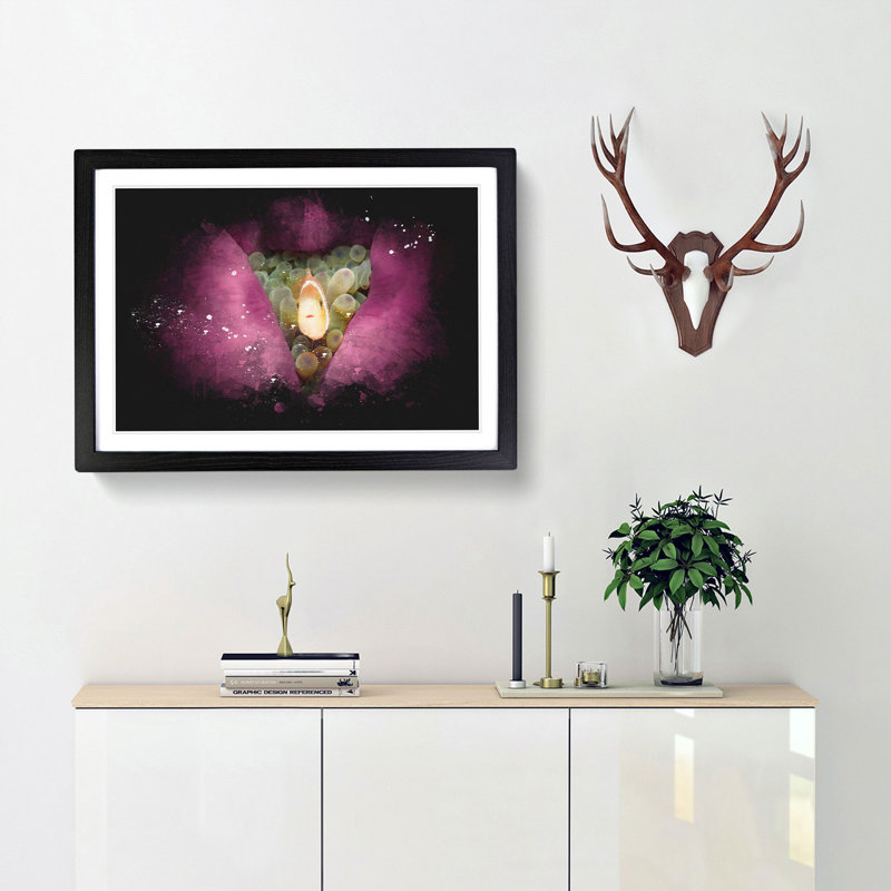 Clownfish & Sea Anemone Paint Splash - Picture Frame Graphic Art, 24cm H x 33cm W x 2cm D, Black Framed