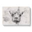 Wonderful Giraffe - Wrapped Canvas-56662865
