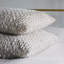 Evangeline Square Pillow Cover & Insert-48149421