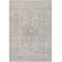 Oriental Indoor Rug