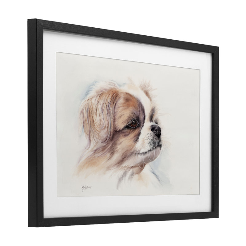 «Expressive Dog Face», reproduction encadrée sous verre, conception de Cady, H 14 po x l 20 po, Cadre noir minuit