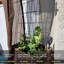 Treillage pour jardin surélevé Rifny