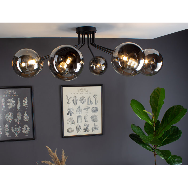 Harietta Spotlight, Black