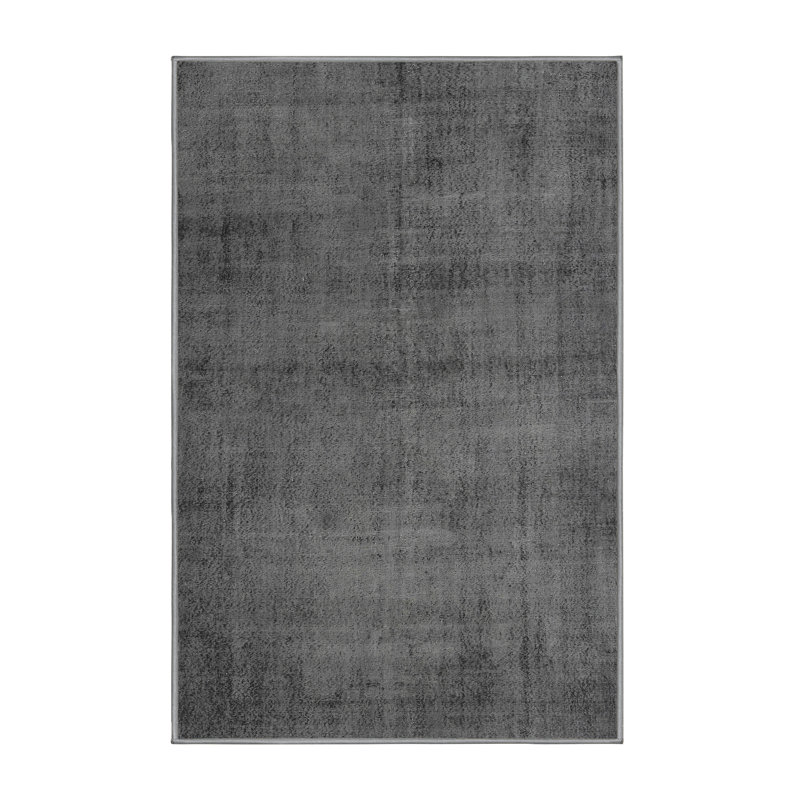 Indoor Rug, Rectangle 4' x 6'