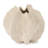 Organic Textured Stoneware Container (Set of 2)