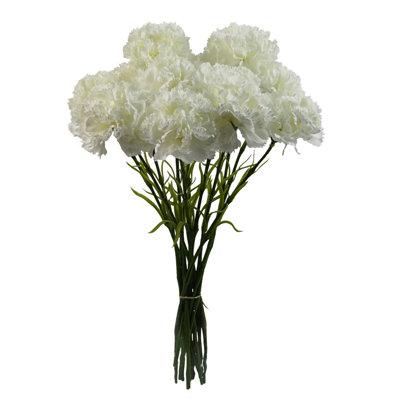 Antiqua Arrangement