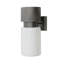Crawford Outdoor Sconce