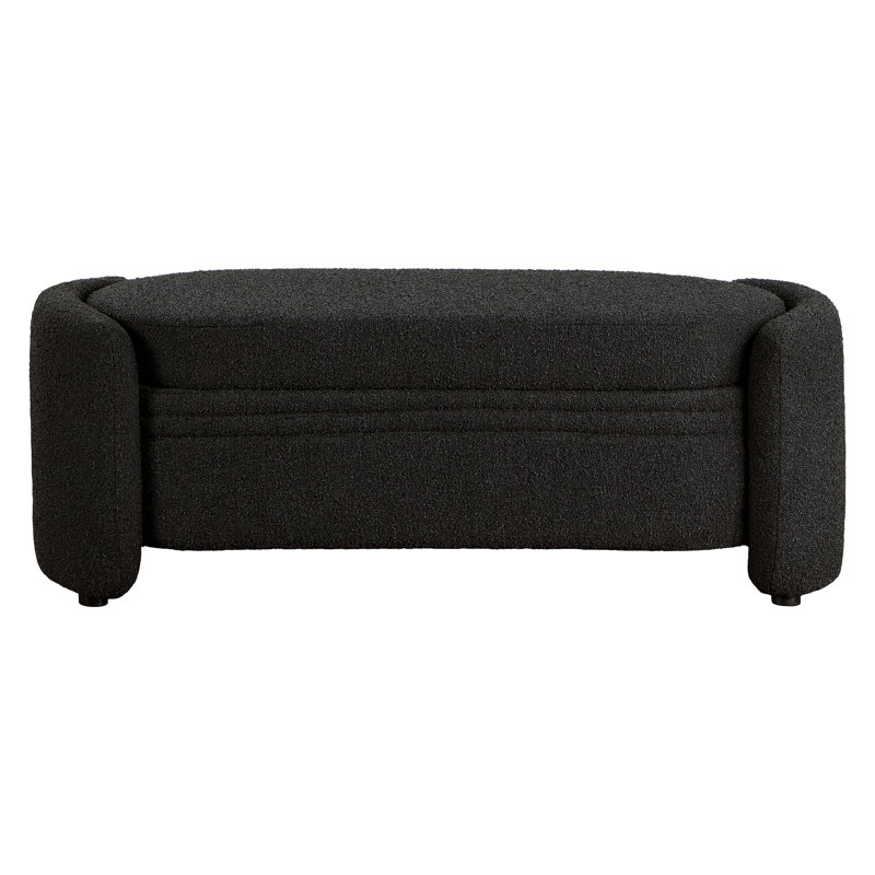 Banc de rangement rembourré Feunisha, Noir