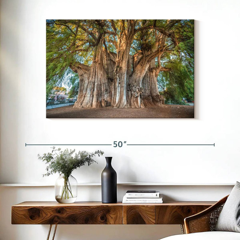 Arbre Harnek Arbol El Tule, H 26 po x l 39 po