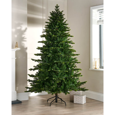 7' H Himalayan Fir Christmas Tree