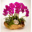 Orchid Faux Floral Arrangement in Planter-46128080