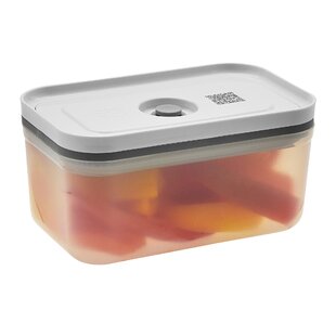 https://assets.wfcdn.com/im/85641456/resize-h310-w310%5Ecompr-r85/1327/132785858/zwilling-fresh-save-plastic-airtight-food-storage-container-meal-prep-container-large.jpg