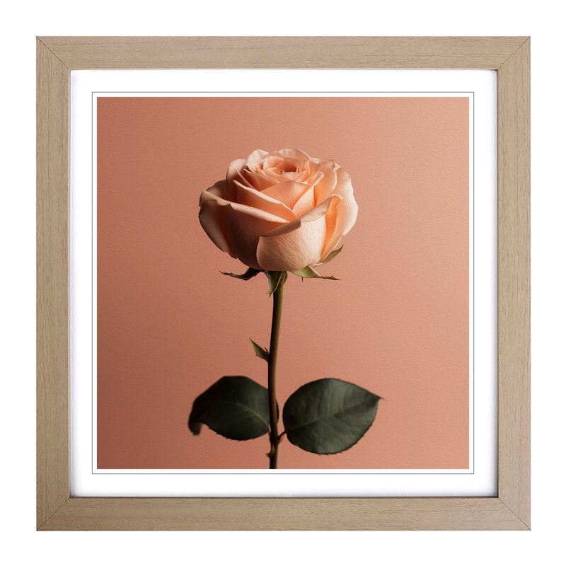 Rose Minimalism No.2 - Framed Print, Oak