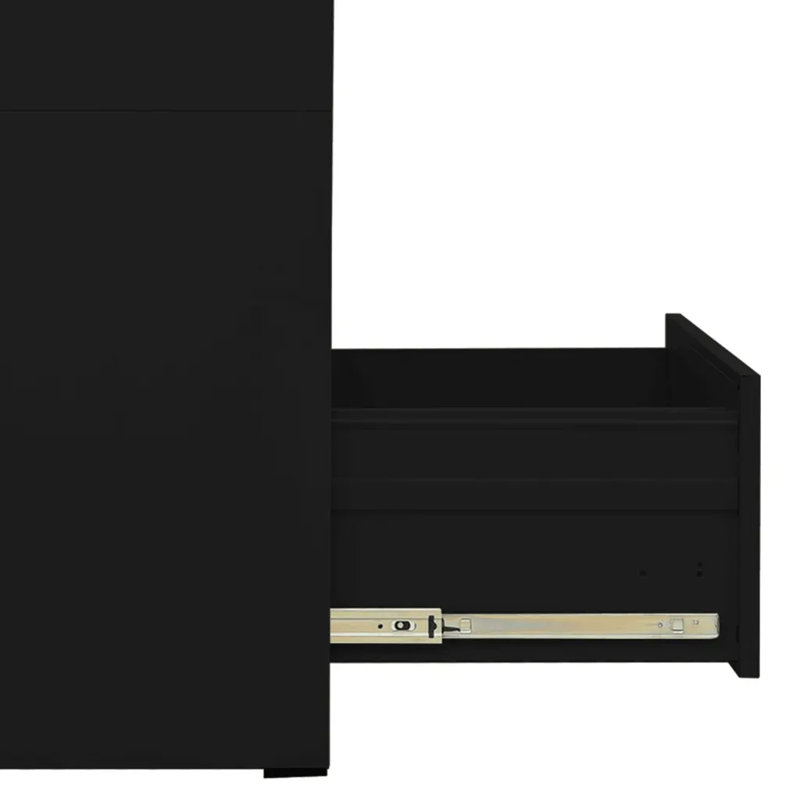 Edward-Ryan 2 Drawer Filing Cabinet, Black