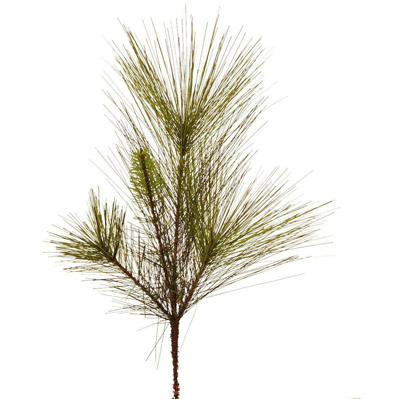 Faux plantes et arbres Canton