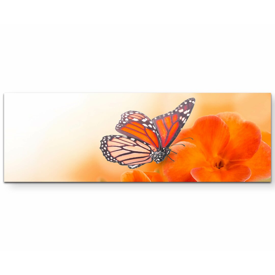 Leinwandbild Orangene Blumen mit Schmetterlingen