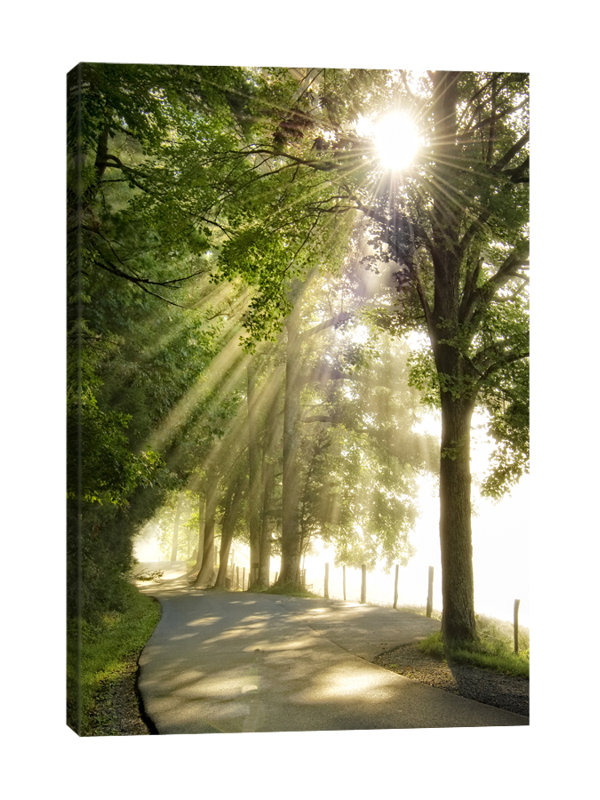 Dano - Wrapped Canvas Print, 107 cm H x 71 cm W x 3 cm D