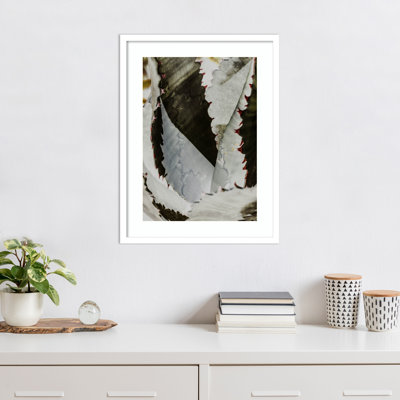 Daisey "Nova" Print by Shot by Clint
