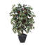 Arbre en pot artificiel de luxe Capensia-826946972