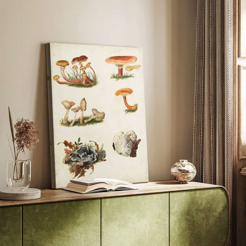 Mushroom Species X - Gallery sur mesure, H 18 po x l 12 po