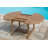 Timothe Extendable Teak Dining Table