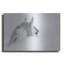 «White Horse» par PhotoINC Studio-101616510