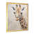 Gold Single Picture Framed