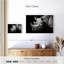 Rhino ronce en monochrome-106817974