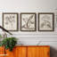 Antique sépia botanicals I - ensemble de 3 reproductions d'art sur toile-1241077293-1241077285