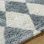 Anemone BMC-2308 8' X 10' Handmade Rug-490166313