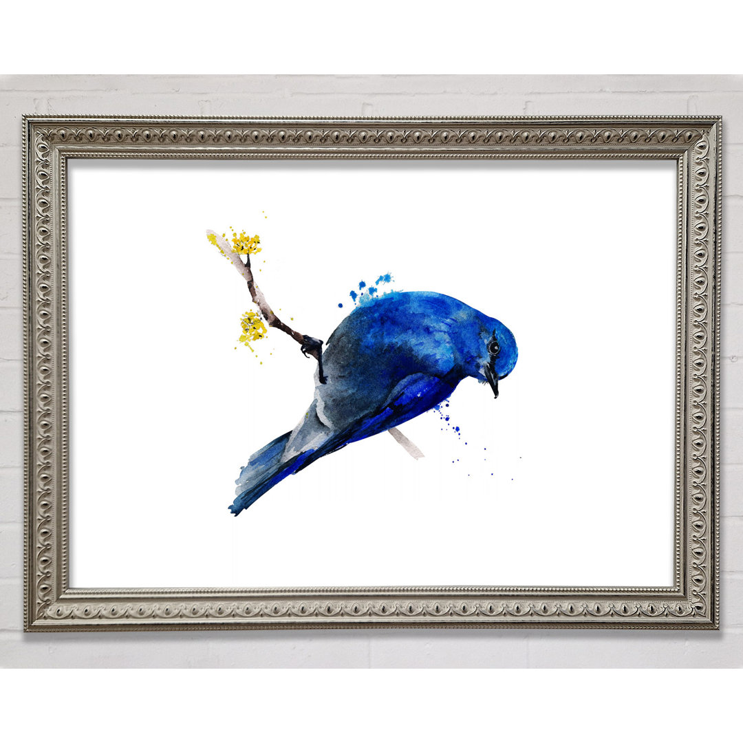 Bluebird On Apple Blossom - Einzelner Bilderrahmen Kunstdrucke