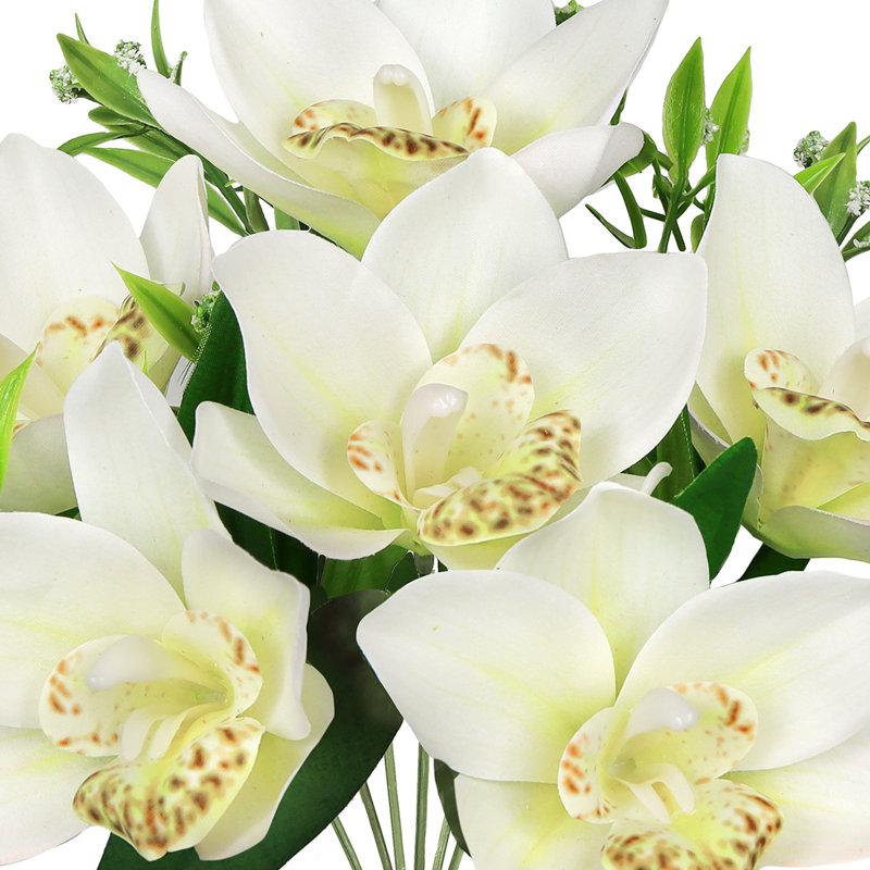 Arrangement de tiges d'orchidées, de buissons et de jets, Crème